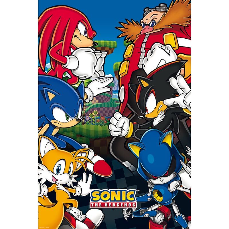 Levně Sonic The Hedgehog Team Sonic plakát vícebarevný