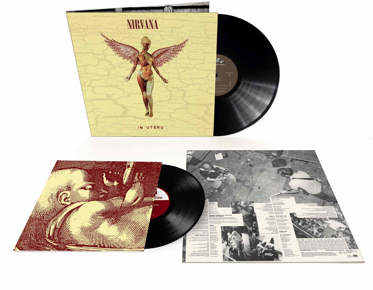 Nirvana In Utero LP multicolor