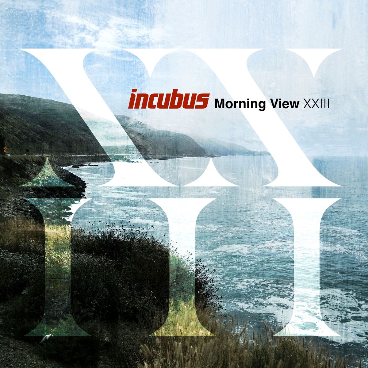 Levně Incubus Morning view XXIII CD standard
