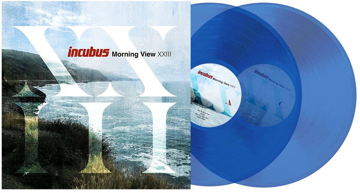 Levně Incubus Morning view XXIII 2-LP standard