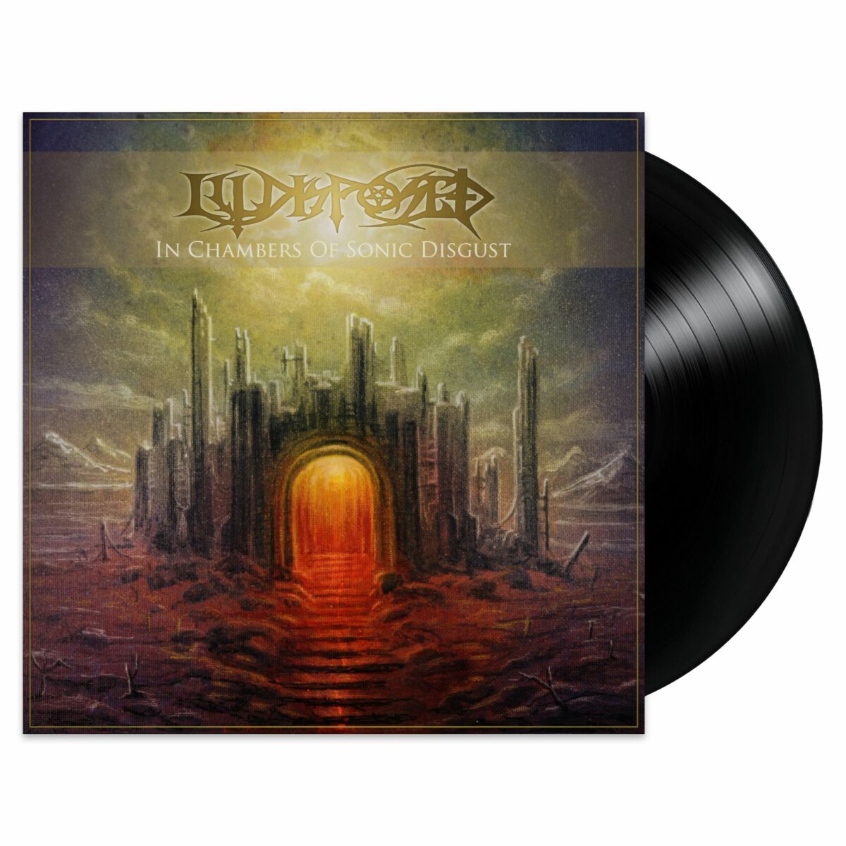 Levně Illdisposed In Chambers Of Sonic Disgust LP standard