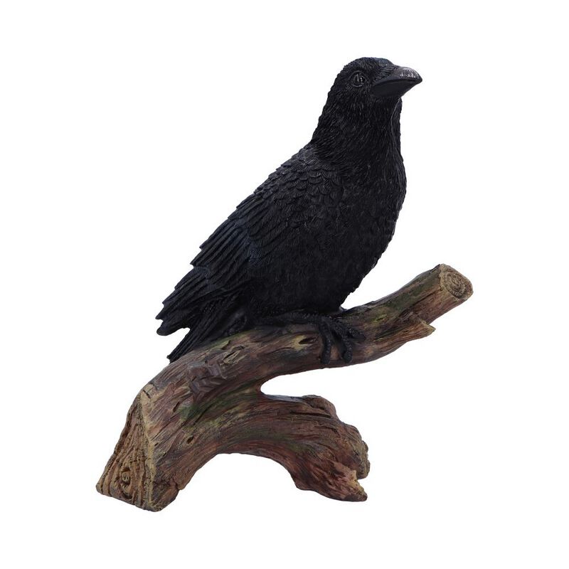 0801269157630 - Ravens Perch Statue schwarz