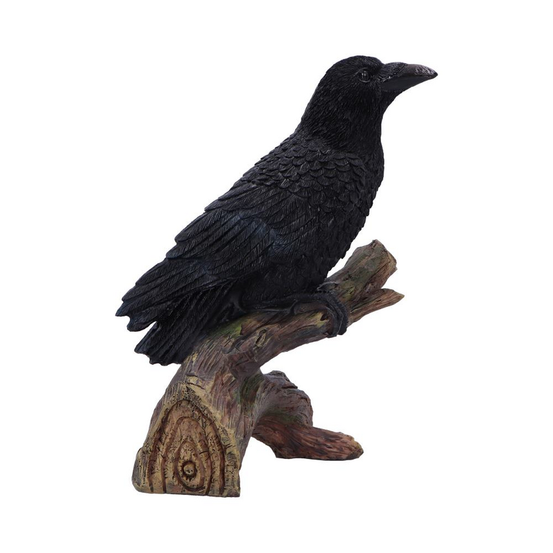 Thumbnail - Nemesis Now Ravens Perch Statue schwarz
