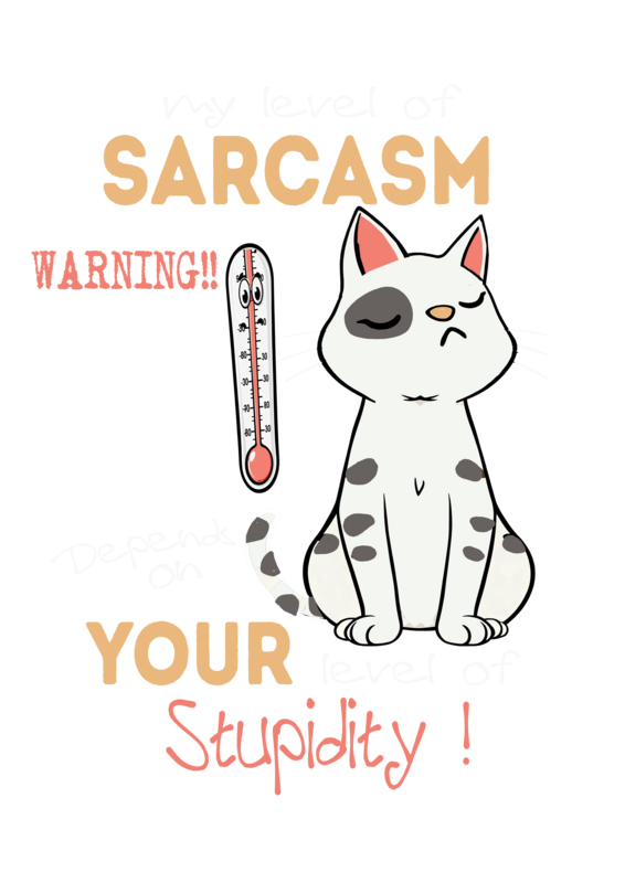 4068143381611 - Level of Sarcasm T-Shirt schwarz in L