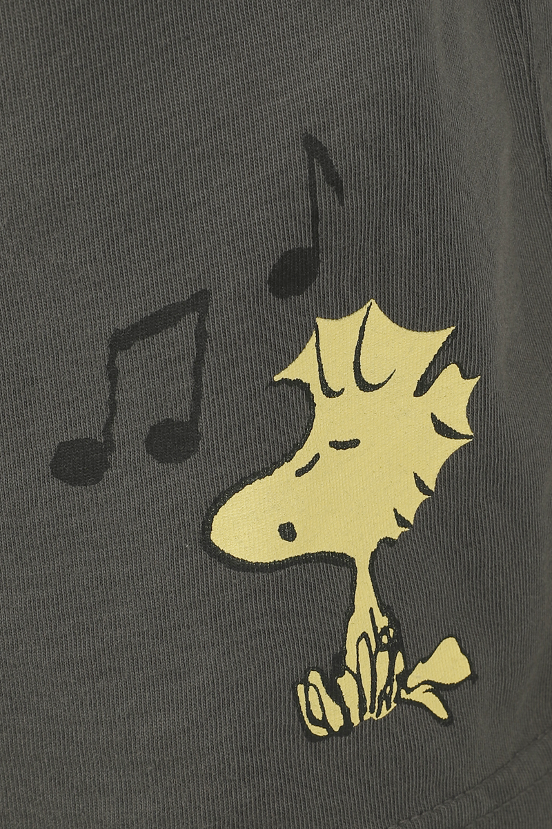 Thumbnail - Peanuts Snoopy und Woodstock Schlafanzug multicolor in L