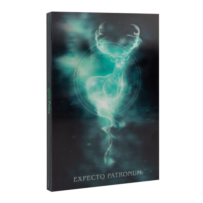 8435747809166 - Patronus Bürozubehör multicolor
