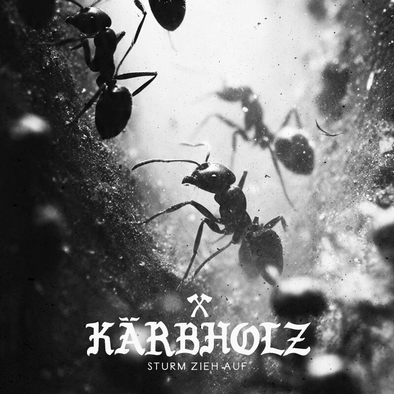 Sturm zieht auf von Kärbholz - LP (Coloured, Limited Edition, Standard)