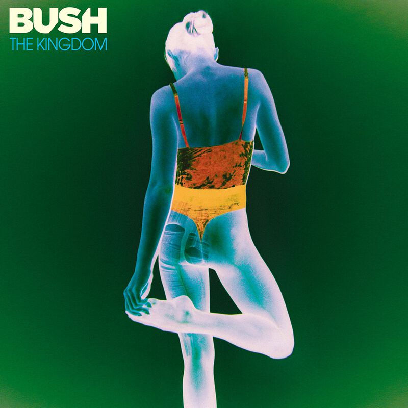 Bush-Cover