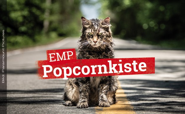 friedhof-der-kuscheltiere-top