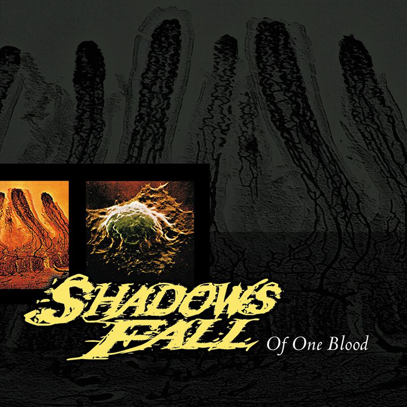 Shadows Fall - Cover