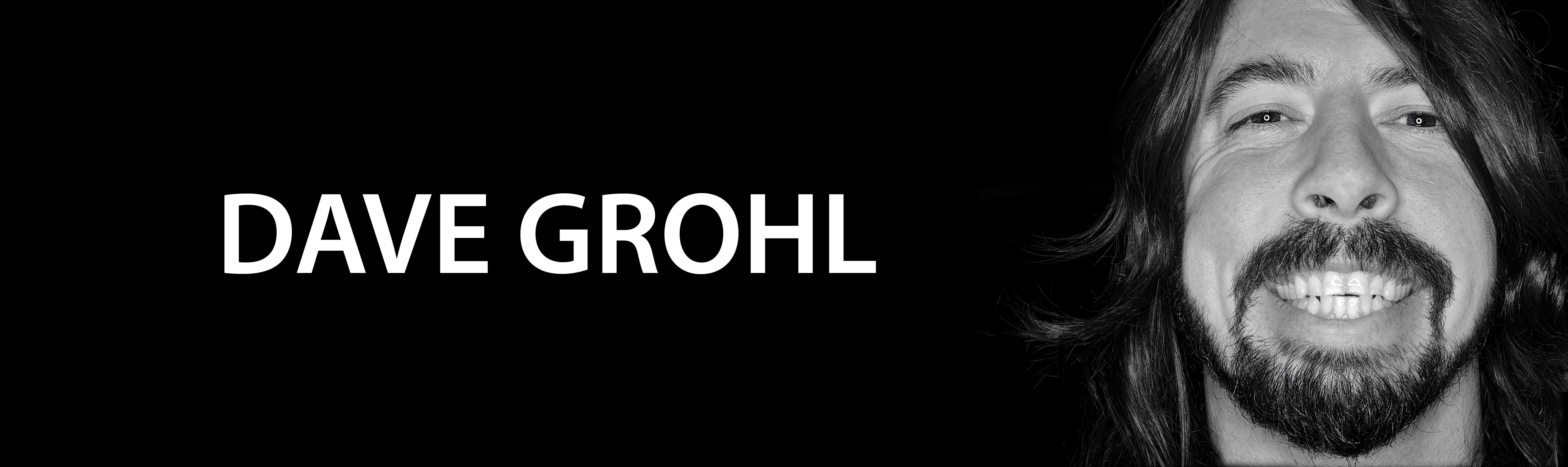 Dave Grohl-Banner